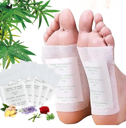 パイ用のキノキ畑