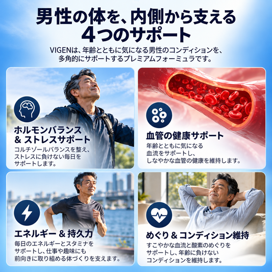 ヴィジェン NAD+ メンズコンプレックス