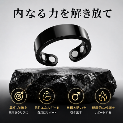 Renew Energy™ ヘマタイトリング
